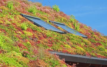 Chew Moor living roof systems