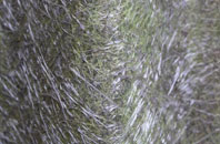 Chew Moor fibreglass roof work